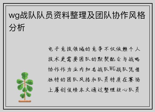wg战队队员资料整理及团队协作风格分析